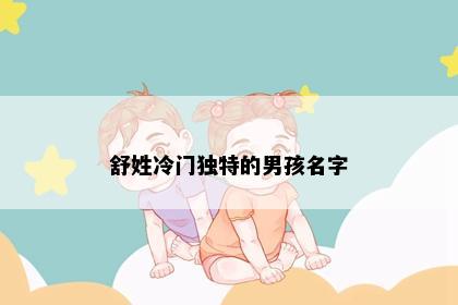 舒姓冷门独特的男孩名字